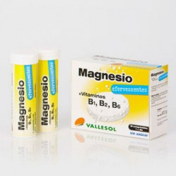 VALLESOL MAGNESIO...